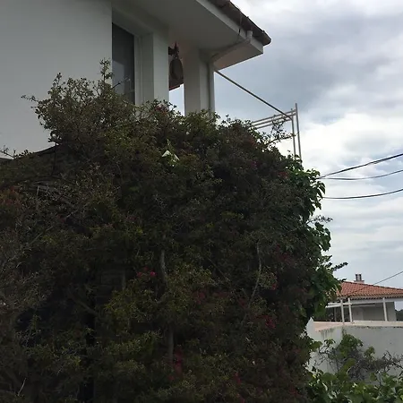 Apartman Casa Del Pi *