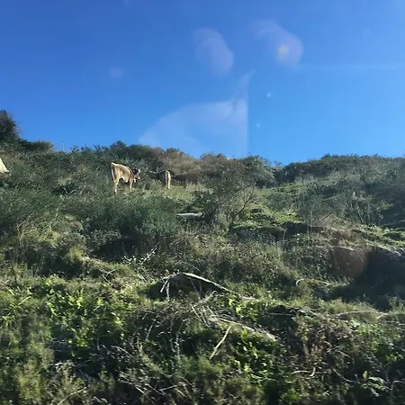 Casa Del Pi 公寓 卡达克斯