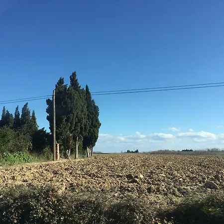 公寓 Casa Del Pi *