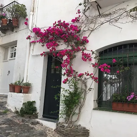 公寓 Casa Del Pi 卡达克斯