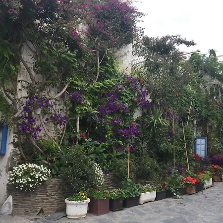 Casa Del Pi *